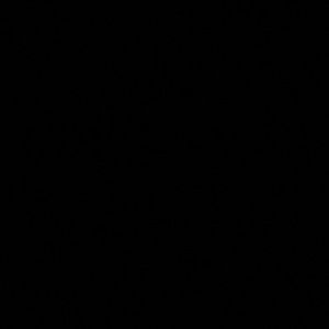 Meet your Posher, Chandler